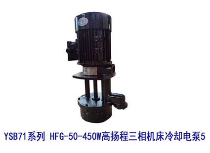 YSB71系列 HFG-50-450W高揚程三相機(jī)床冷卻電泵5